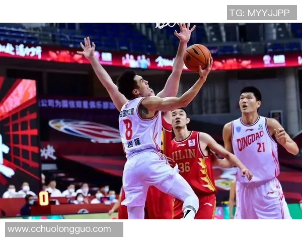 赵泰隆：从篮球新星到职业生涯的辉煌蜕变之路